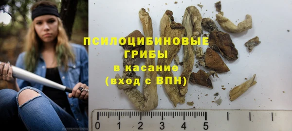 бутират Баксан