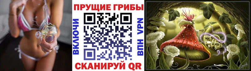 Псилоцибиновые грибы ЛСД наркотики Горняк